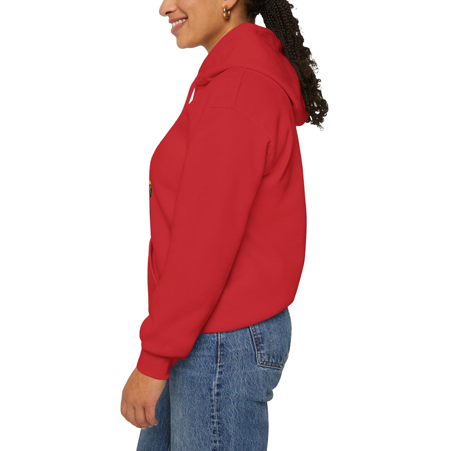 Unisex Hooded Sweatshirt - African Montage