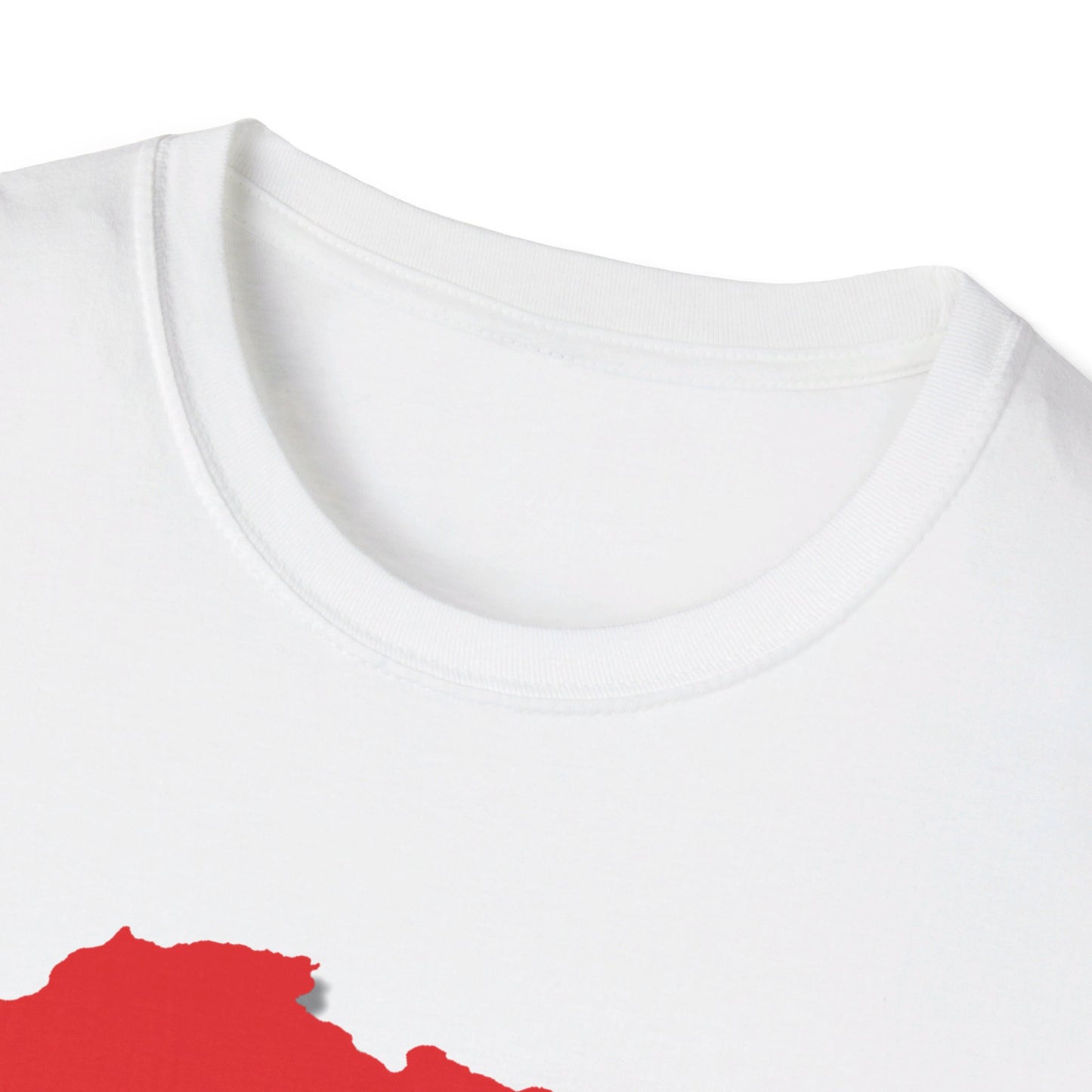 Unisex Softstyle T-Shirt - Pan Africa