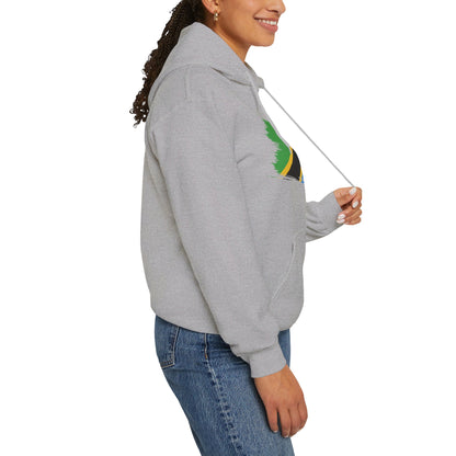 Unisex Hooded Sweatshirt - Tanzania