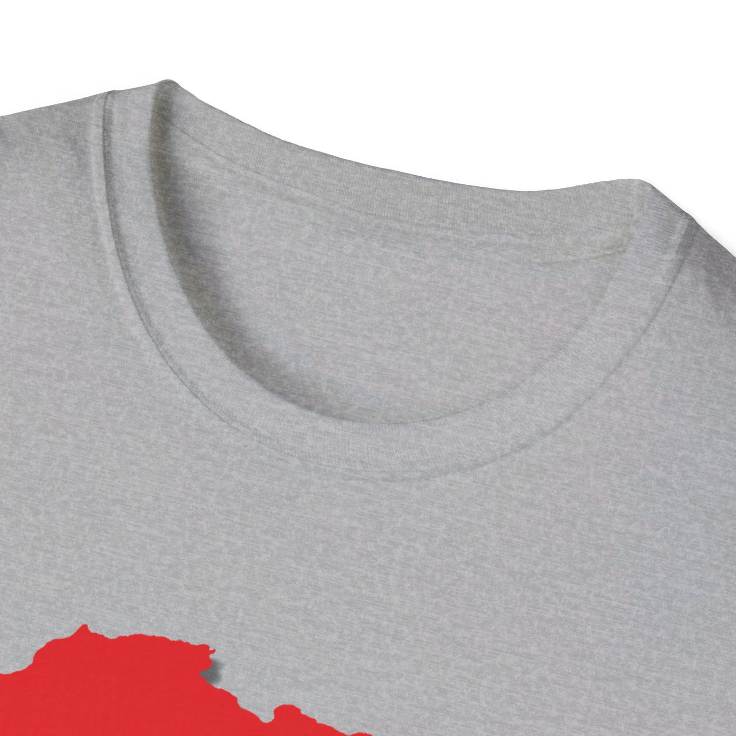 Unisex Softstyle T-Shirt - Pan Africa