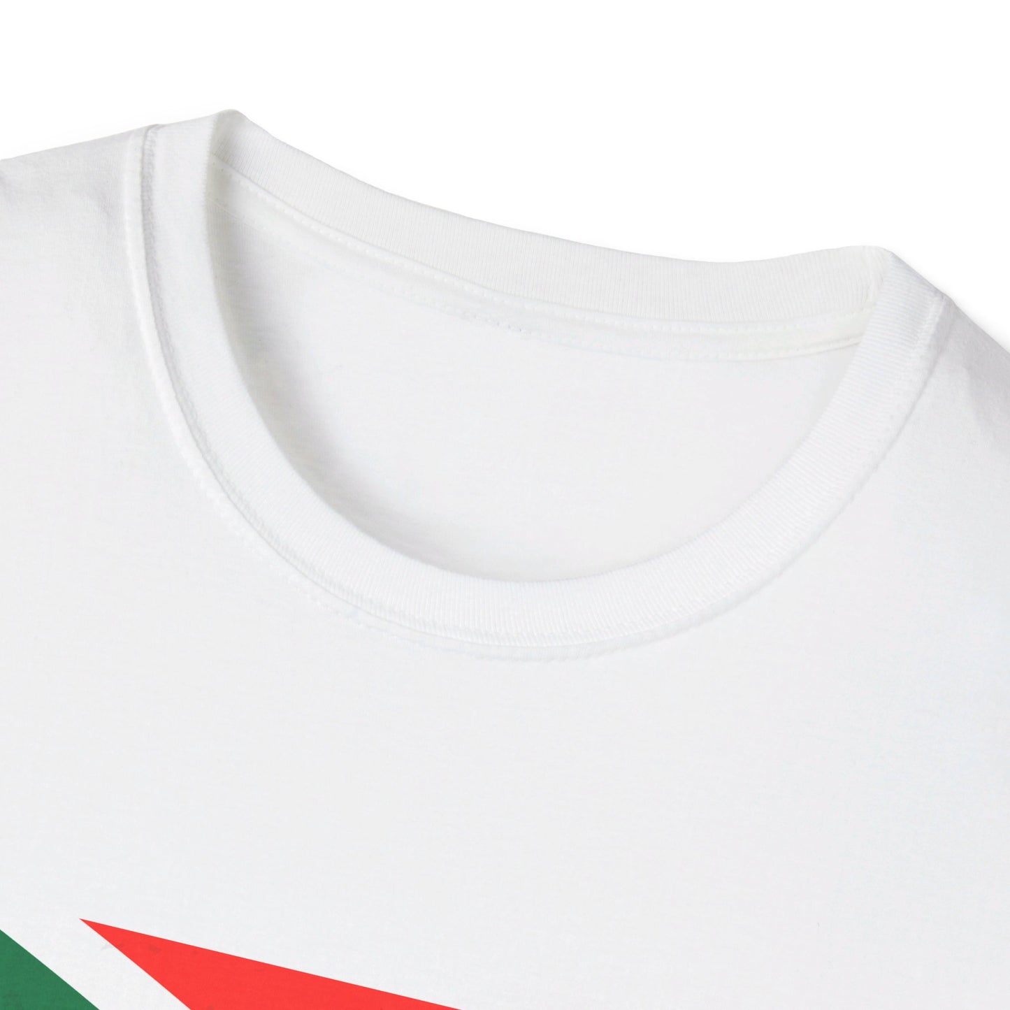 Unisex Softstyle T-Shirt - South Africa